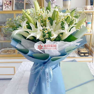 黔南8支白色多头百合洋甘菊,互倾的思念